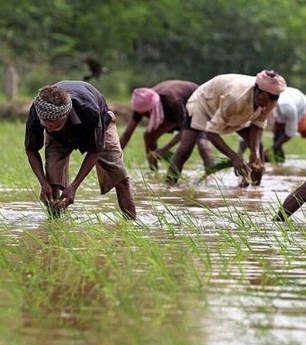 A climate-resilient rainfed agriculture